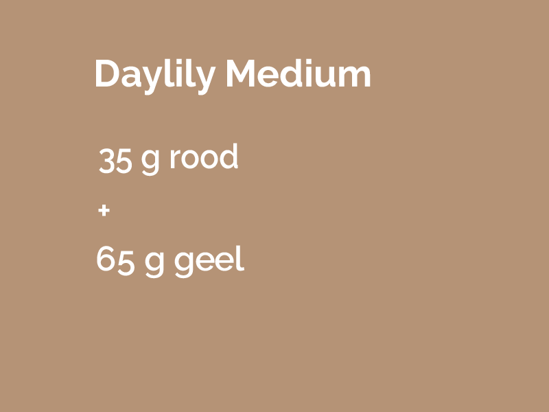 Daylily Medium.png